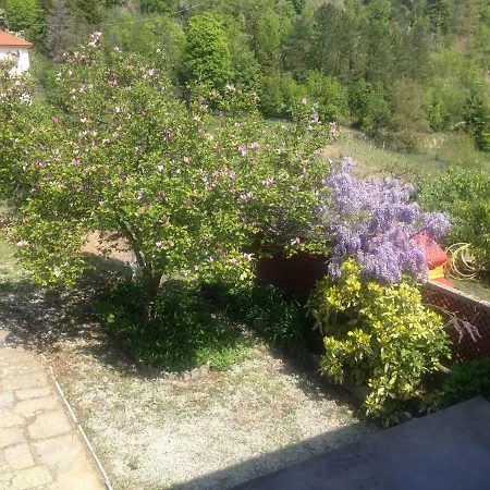 Ca' Fiorita *