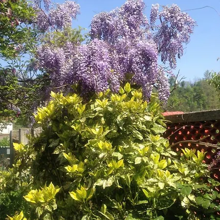 Holiday home Ca' Fiorita Acqui Terme
